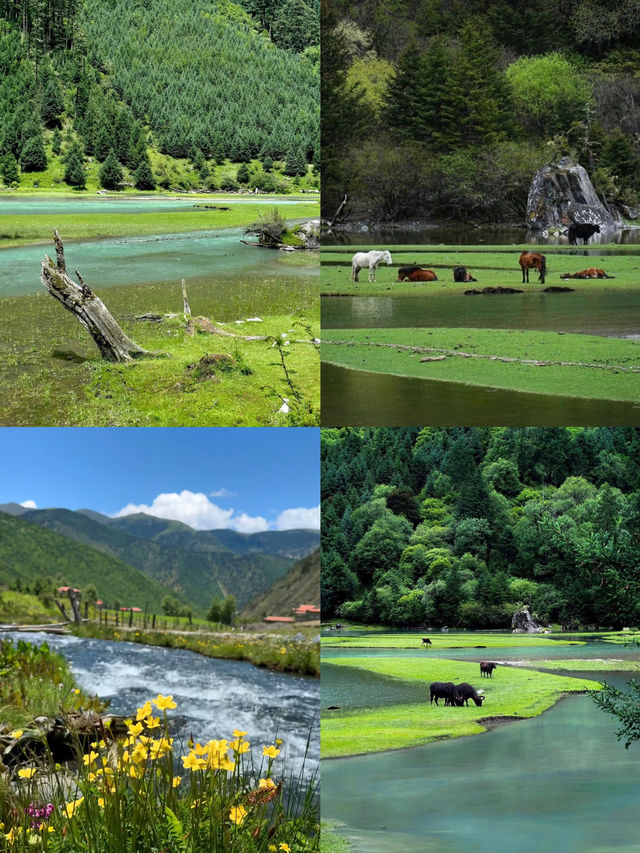 一齊去川西-甲根壩