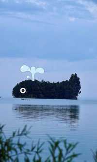昆明鯨魚島美得不真實