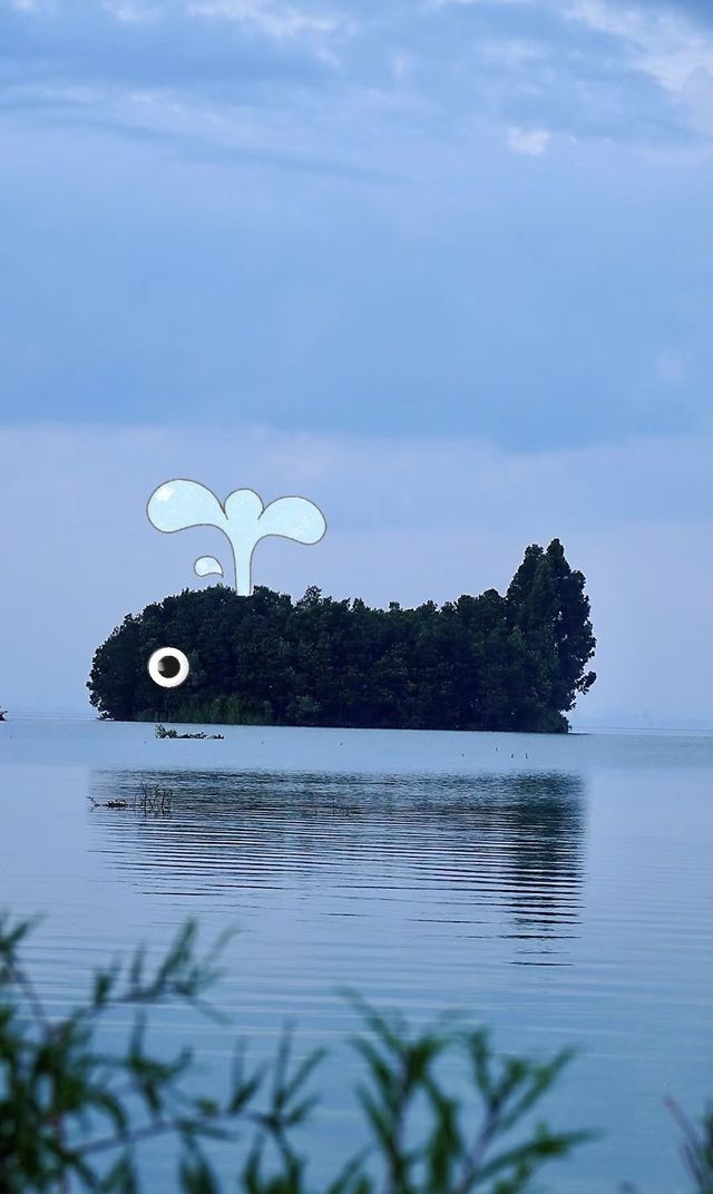 昆明鯨魚島美得不真實