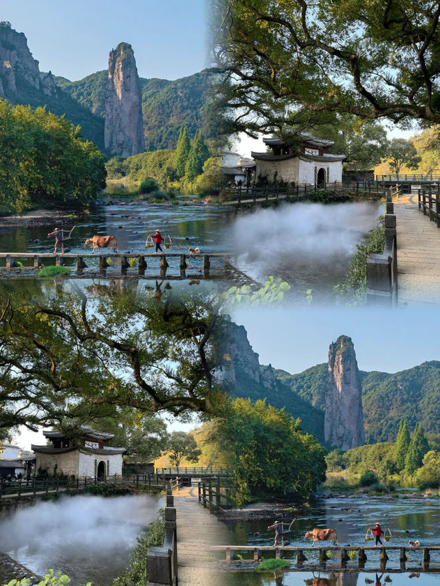 河南人必睇！躲進麗水25℃天然冷氣房，呢份避暑攻略收好！