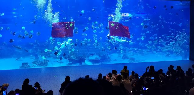 拍照絕美的重慶巴南漢海海洋公園