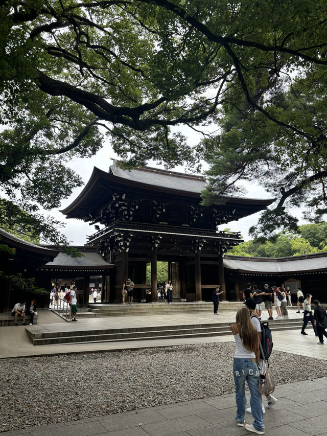 Highlights of Tokyo for 5 days: 