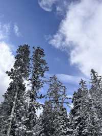 "Breathing in the beauty of Bipenggou - pure, peaceful, and pucture-perfect."