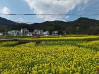 寧靜嘅上坦村
