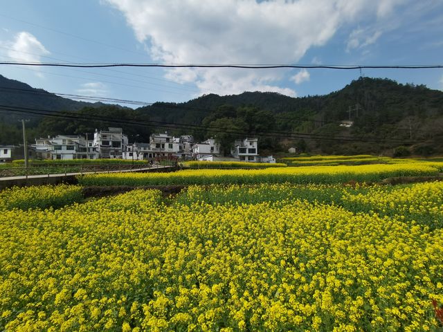 寧靜嘅上坦村