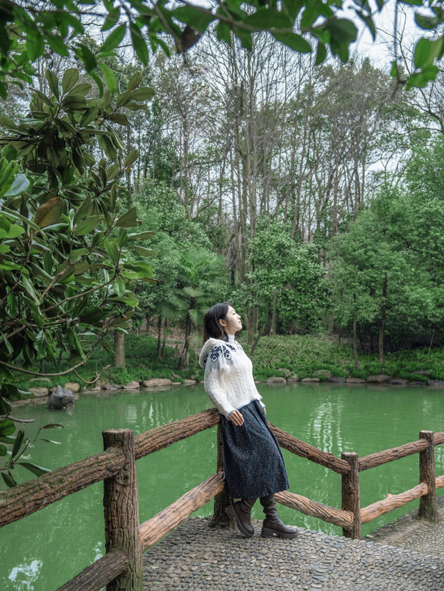 桐廬就是一個巨大的綠色能量場杭州九寨溝