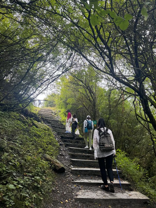 成都周邊遊｜我宣佈！臥龍熊貓坪才是人間小瑞士
