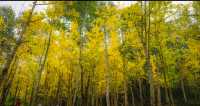 【住進柳州C位！蔓酒店帶您探秘馬鹿山奇境】  親愛的旅行家，歡迎入住柳州蔓酒店！我們不僅是您舒適的休