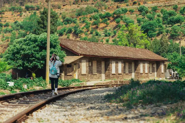 Stay here in Kunming this autumn! Just a few dozen yuan near Green Lake, step out to walk on ginkgo leaves and visit the night market