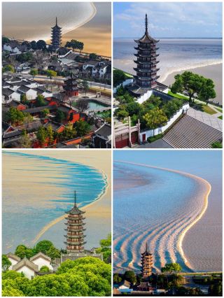 Qianlong did not deceive me; I finally found a micro-vacation paradise for relaxing and strolling with kids in the Jiangsu-Zhejiang-Shanghai area!