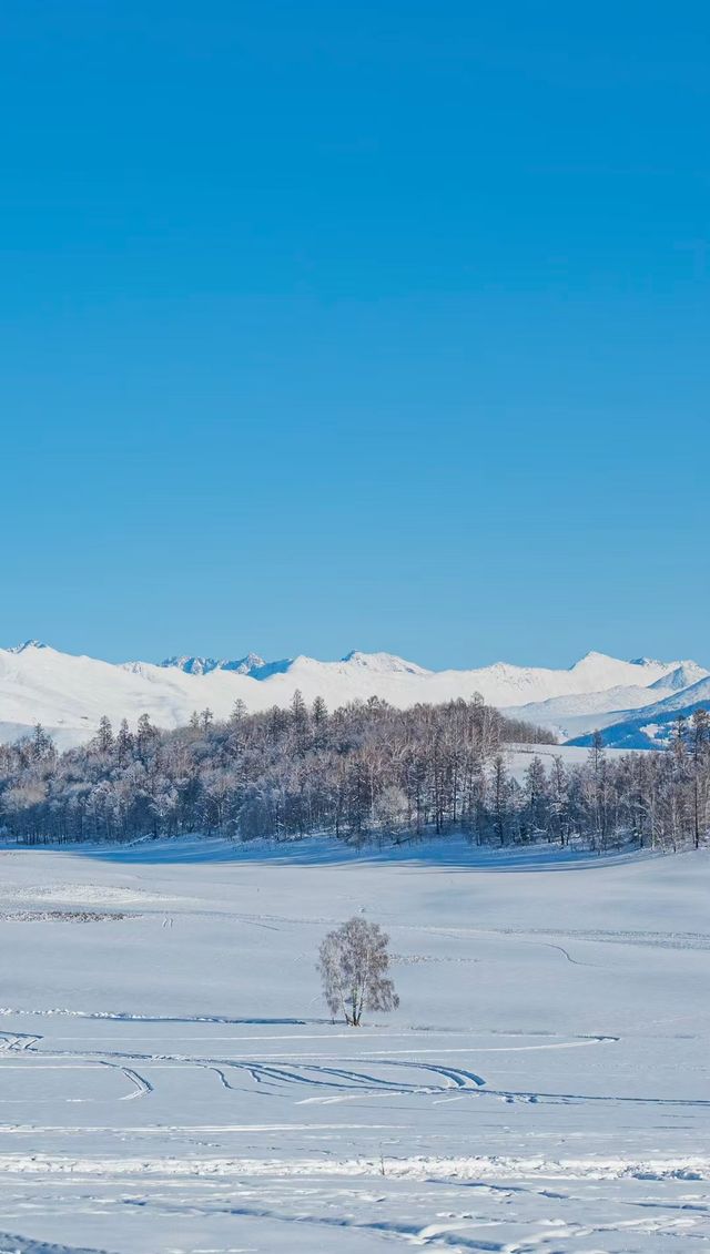 喀納斯雪季攻略