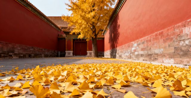 9-10月窮遊必衝!8座高鐵直達城,承包你的金秋浪漫 9-10月窮遊必衝!8座高鐵直達城,承包你的金秋浪漫