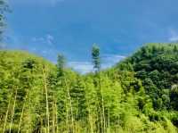 碧坞龍潭徒步秘境