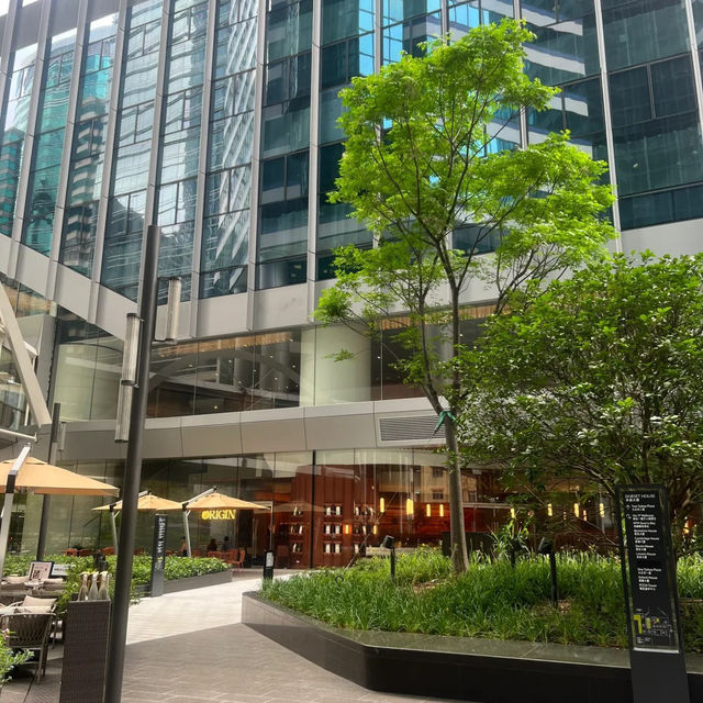 🏙️☕️홍콩 퀸즈웨이 이스트의 오아시스, 이 카페에서 일과 휴식 모두 잡으세요! 