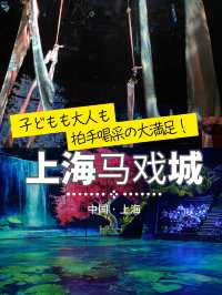 【上海雑技団】上海観光プランに是非入れてください!