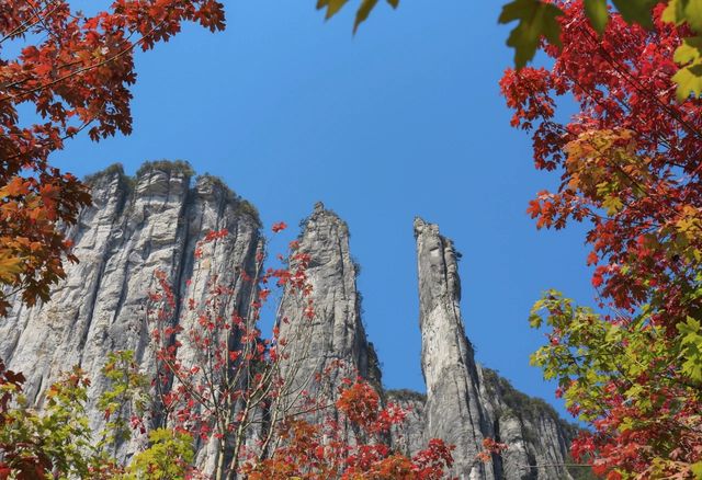 秋染絕壁！打卡雲海+喀斯特奇觀，恩施大峽谷2天1夜攻略：   恩施大峽谷作為「世界地質公園」，秋日裏