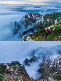 泰山之巔，雲海與秋色撞了個滿懷！