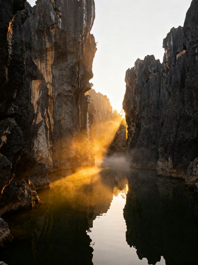 石林，地球的奇幻異星！雲南這個3億年地質奇蹟，憑什麼成為世界