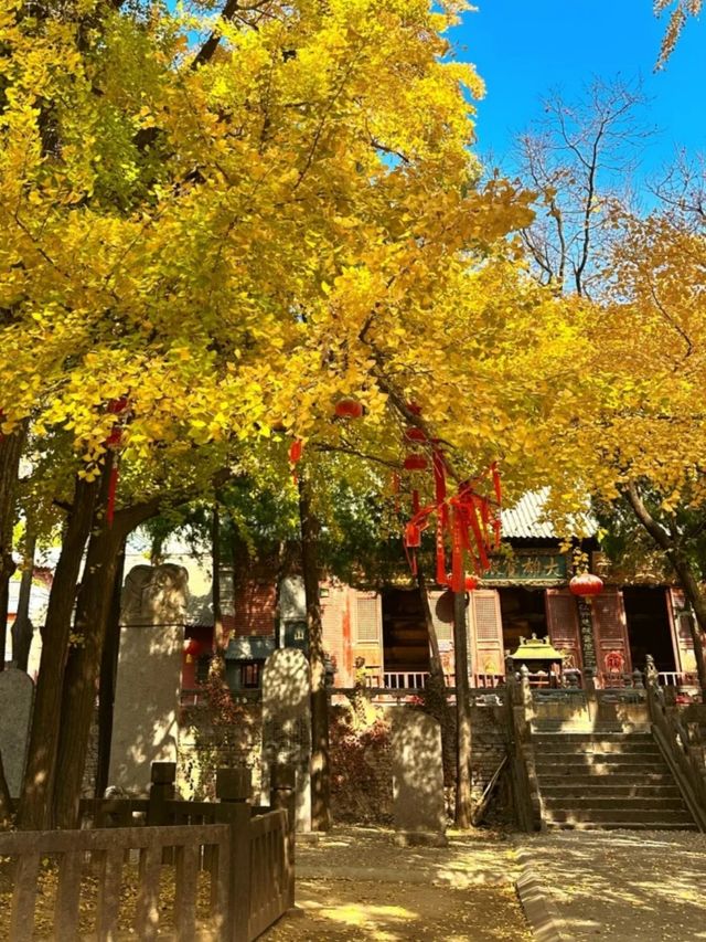 登封秋日漫遊，邂逅紅葉浪漫 