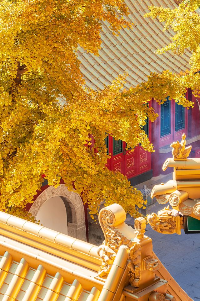 北京出發1小時，去乾隆巡行過的仙山賞秋去