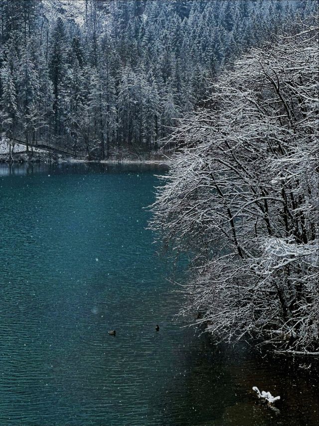 四姑娘山這波操作太浪漫！深秋的第一場雪美哭我