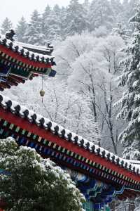 嵩山雪景仙境大公開！錯過再等365天
