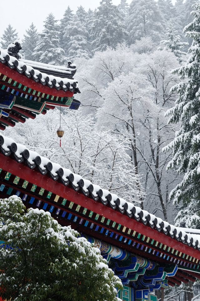 嵩山雪景仙境大公開！錯過再等365天