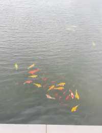 上海世博文化公園遊記