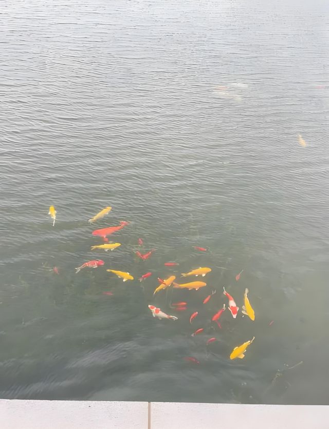 上海世博文化公園遊記