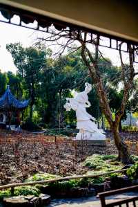 魔都寶藏植物園！櫻花季拍照美到犯規