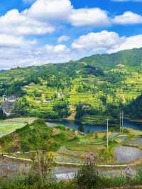 住進田園!白雲村的梯田、吊腳樓與煙火氣,治癒你的秋日疲憊!