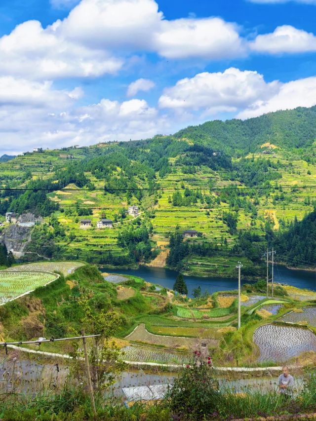 住進田園!白雲村的梯田、吊腳樓與煙火氣,治癒你的秋日疲憊! 住進田園!白雲村的梯田、吊腳樓與煙火氣,治癒你的秋日疲憊!