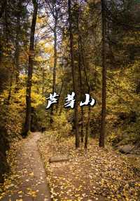 山西這個冷門仙境要藏不住了!蘆芽山秋色進入全盛期