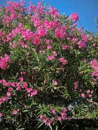 米蘭小眾粗野主義三角教堂