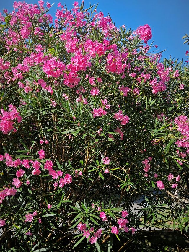 米蘭小眾粗野主義三角教堂 米蘭小眾粗野主義三角教堂