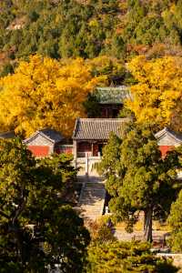 秋遊必看濟南-泰安-濟寧這樣玩才爽