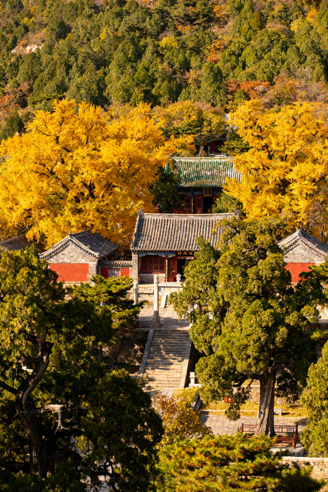 秋遊必看濟南-泰安-濟寧這樣玩才爽