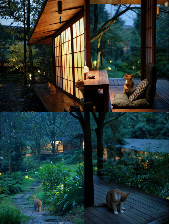 青城山深山秘境避世度假泡湯staycation~~