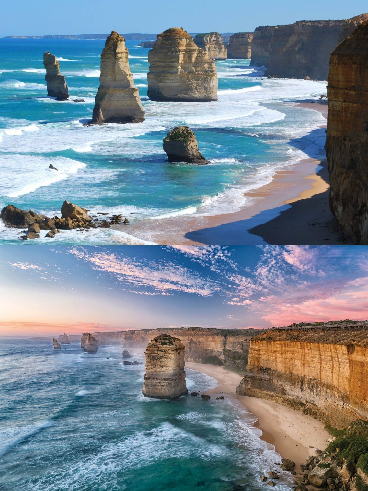 Super Value Melbourne Great Ocean Road 8 Types of 1-Day Tours