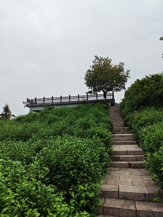 黃家山景，幽靜之中的自然詩篇。