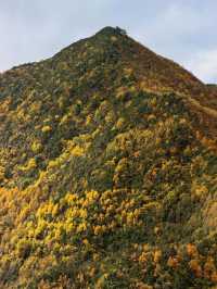 秋色限定牛背山私藏小團，2-8人暢玩雲端仙境！