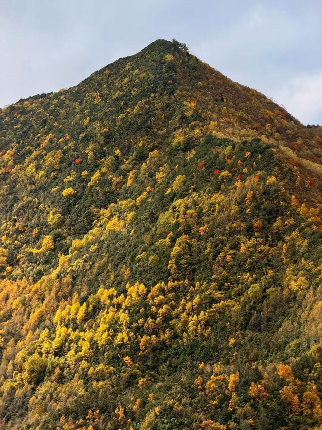 秋色限定牛背山私藏小團，2-8人暢玩雲端仙境！