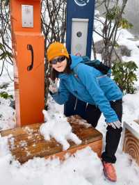 叢林界的一鯨落萬物生~