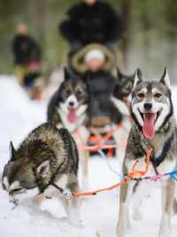 聽勸冬天去芬蘭挪威一定要看這條路線..
