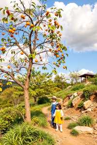 快來打卡！溫州神秘東爐村