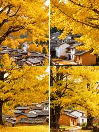 騰衝秋日｜美景+溫泉+野奢=理想假日