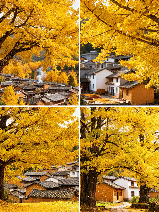 騰衝秋日｜美景+溫泉+野奢=理想假日
