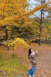 驅車4h來到韶關 就為了尋找秋天的顏色