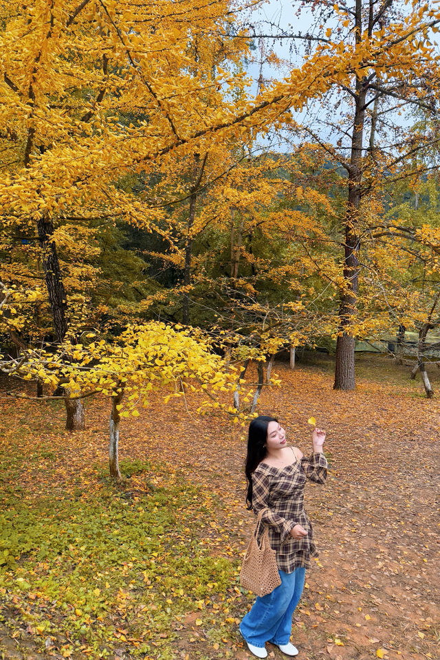 驅車4h來到韶關 就為了尋找秋天的顏色