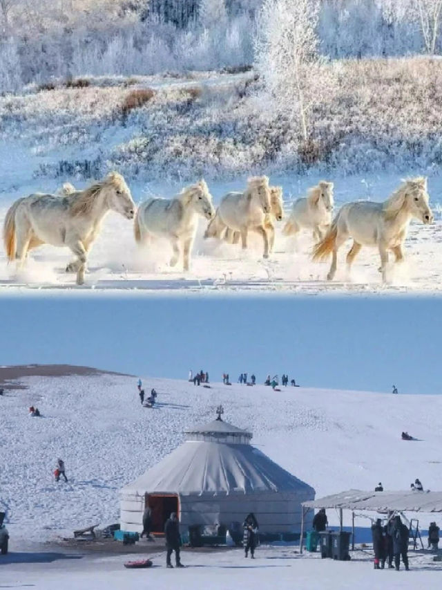 烏蘭布統雪原絕了人少景美的冬日童話世界！
